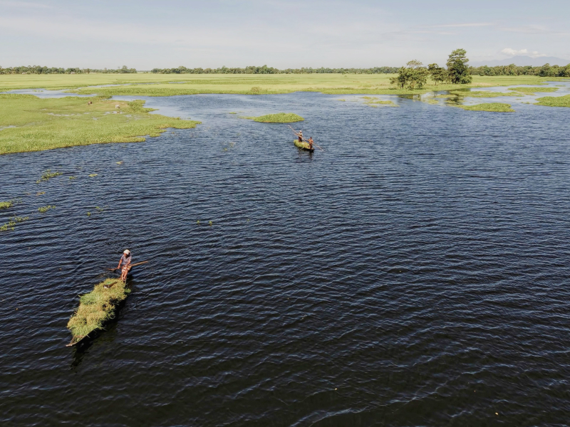 Majuli Island