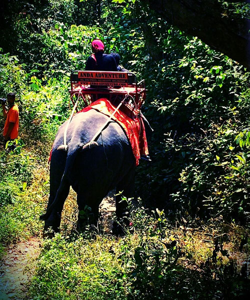 Mini-Delight-Kaziranga-Manas