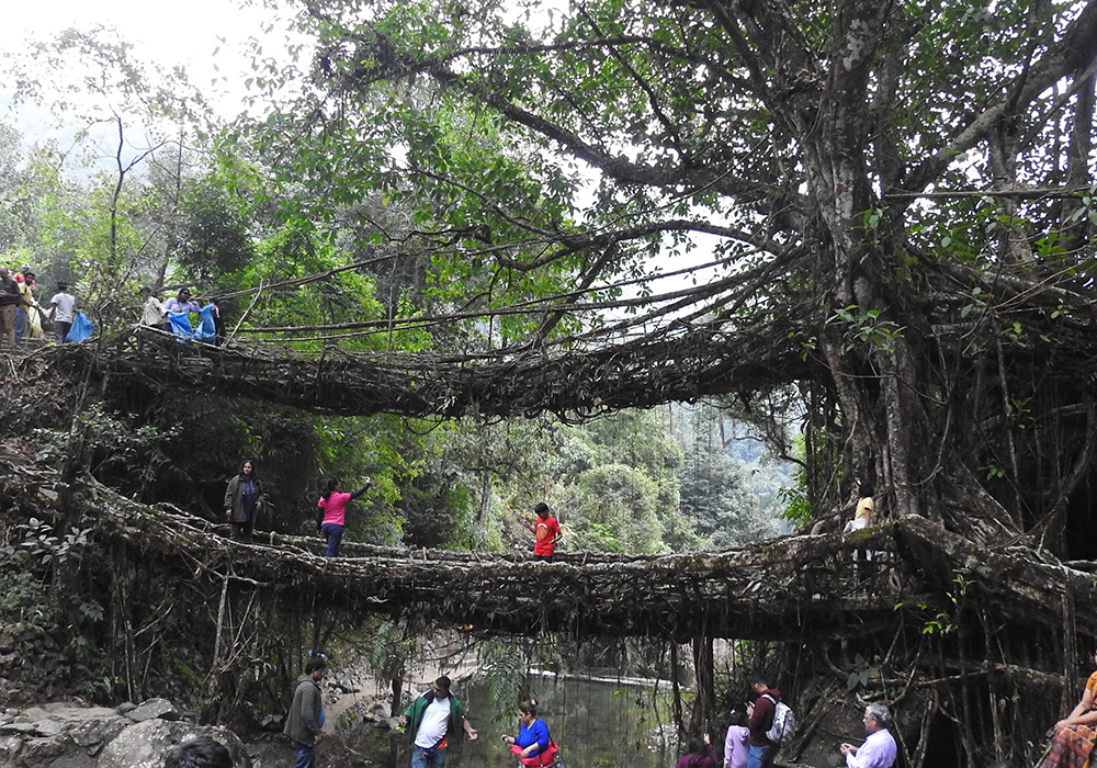 Assam Meghalaya with Hornbill Festival 1