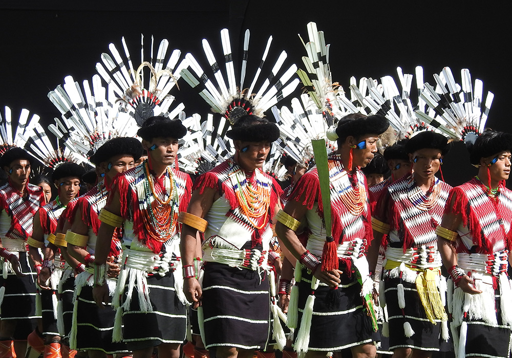 Classic Glimpse of Hornbill 1