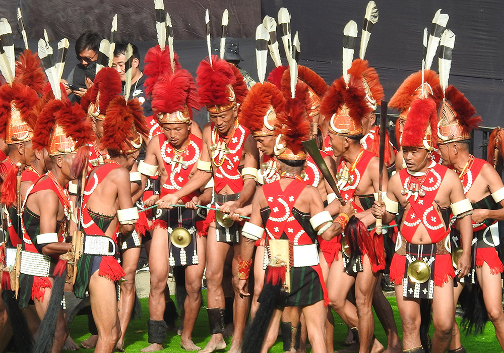 Classic Glimpse of Hornbill 4