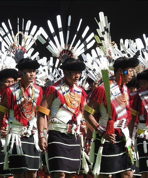 Hornbill-with-Assam-homw