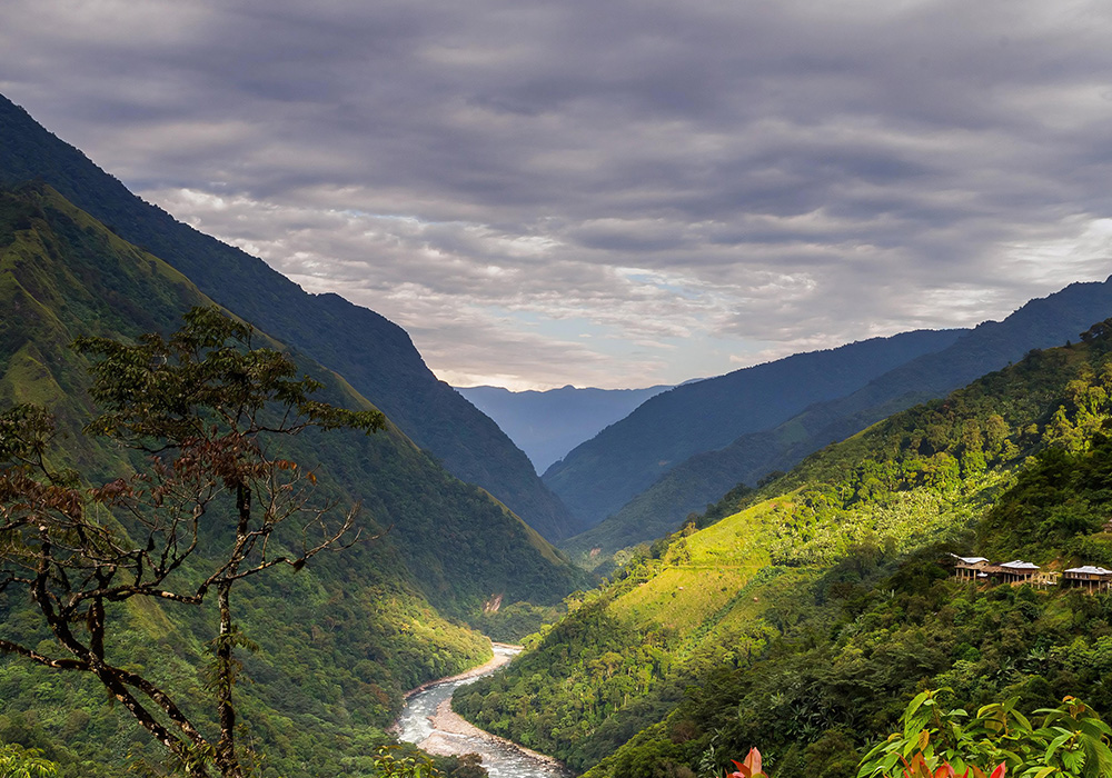 Valley of Tranquil Dreams 4