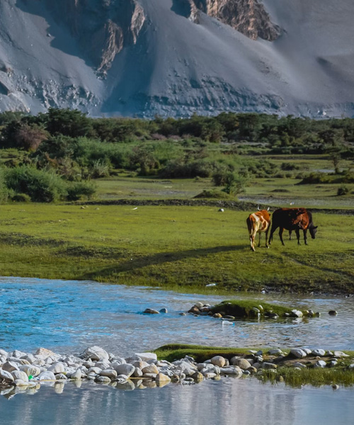 Whispers-Of-Wild-Frontiers-1