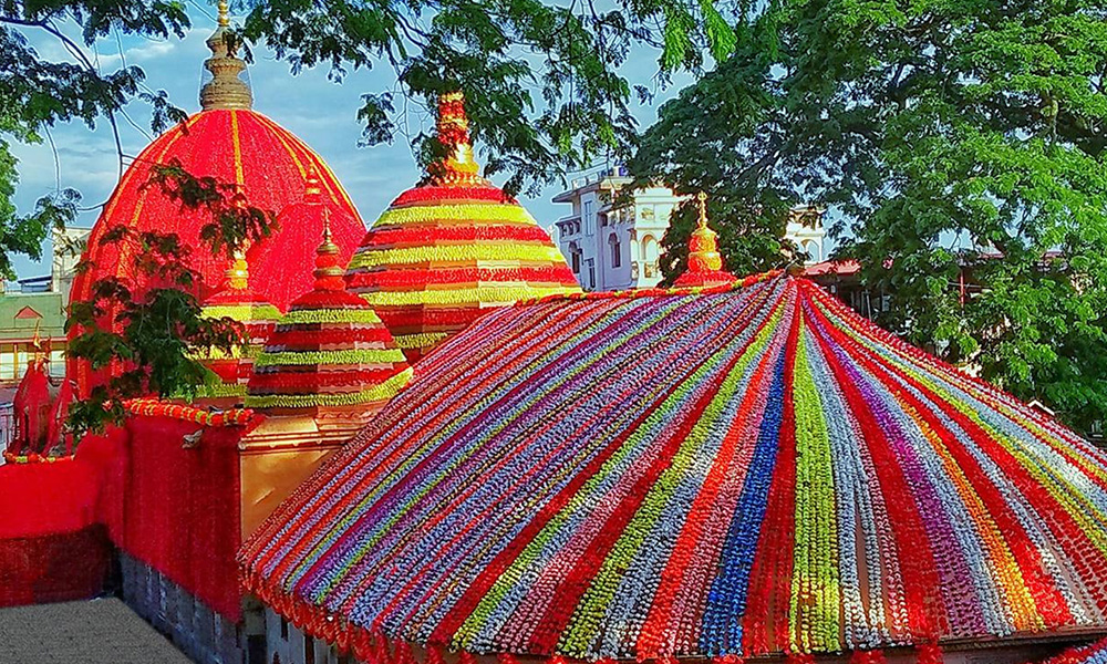 Whispers of Assam 2
